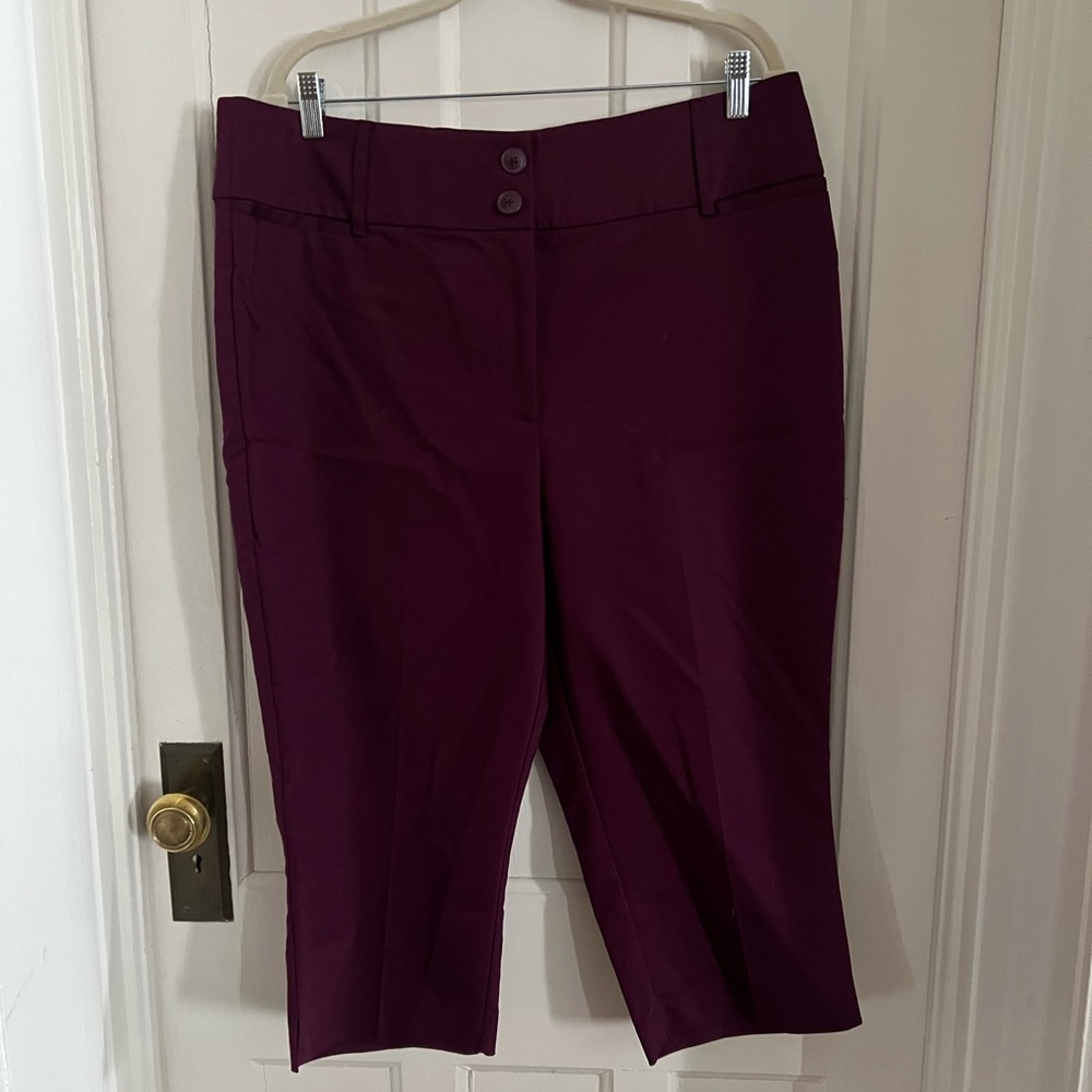 Lane Bryant Mulberry Capri Pants